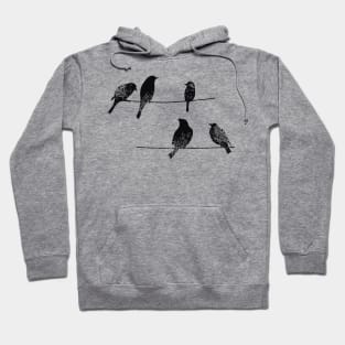 Birds on a wire Hoodie